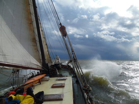 Segelschiff 929 Enkhuizen Foto 6